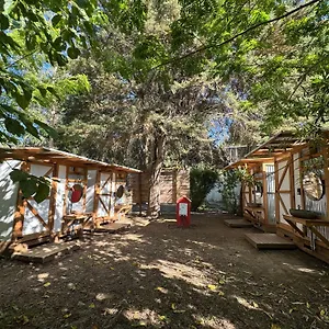 Kampaoh Paloma Tarifa